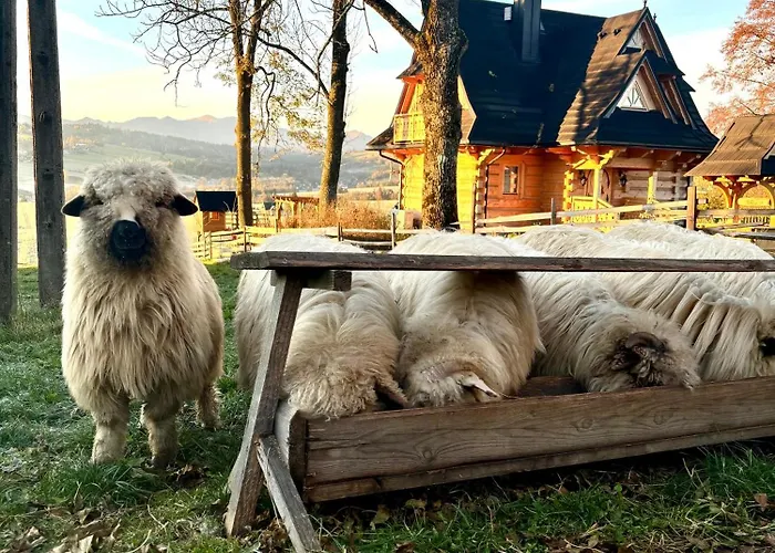 Chalet Marusina Szaflary